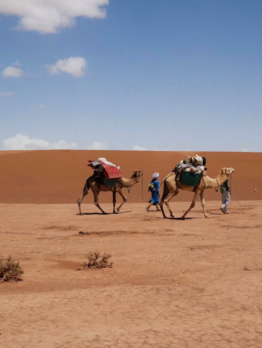 Nouage du chèche saharien