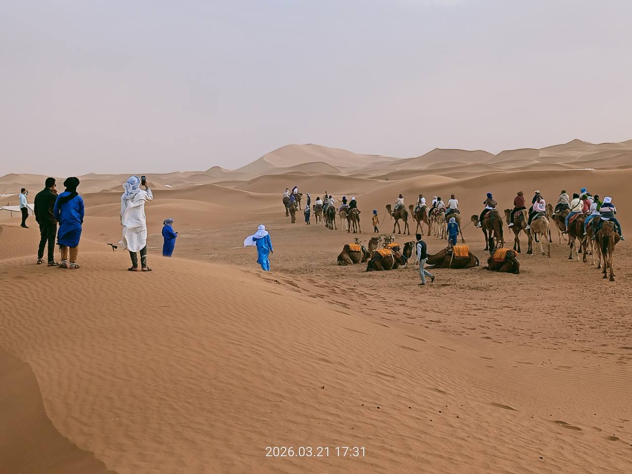 Panoramas des dunes sahariennes
