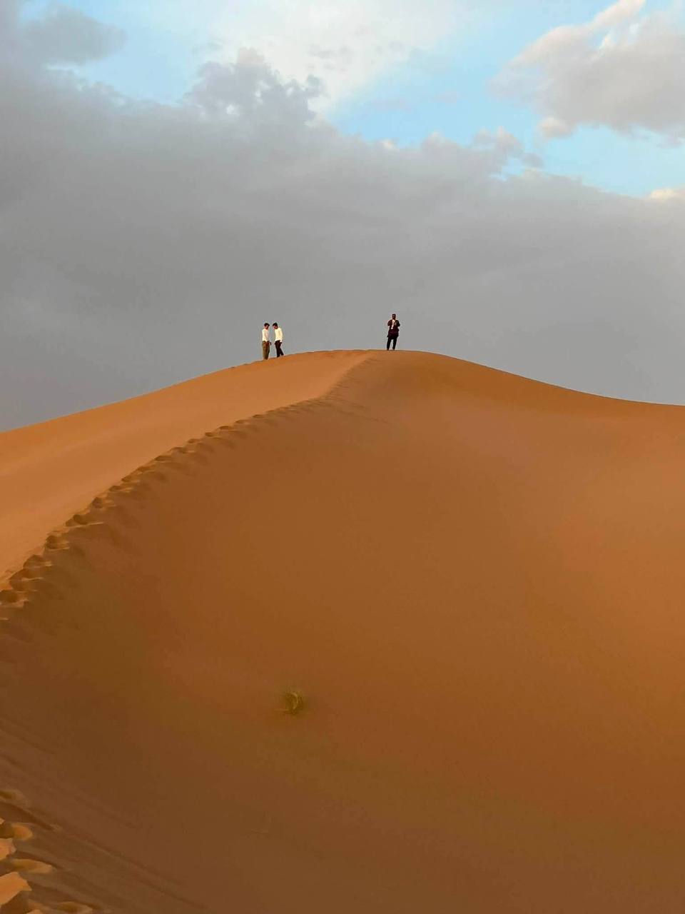 Ombres sur les crêtes de sable
